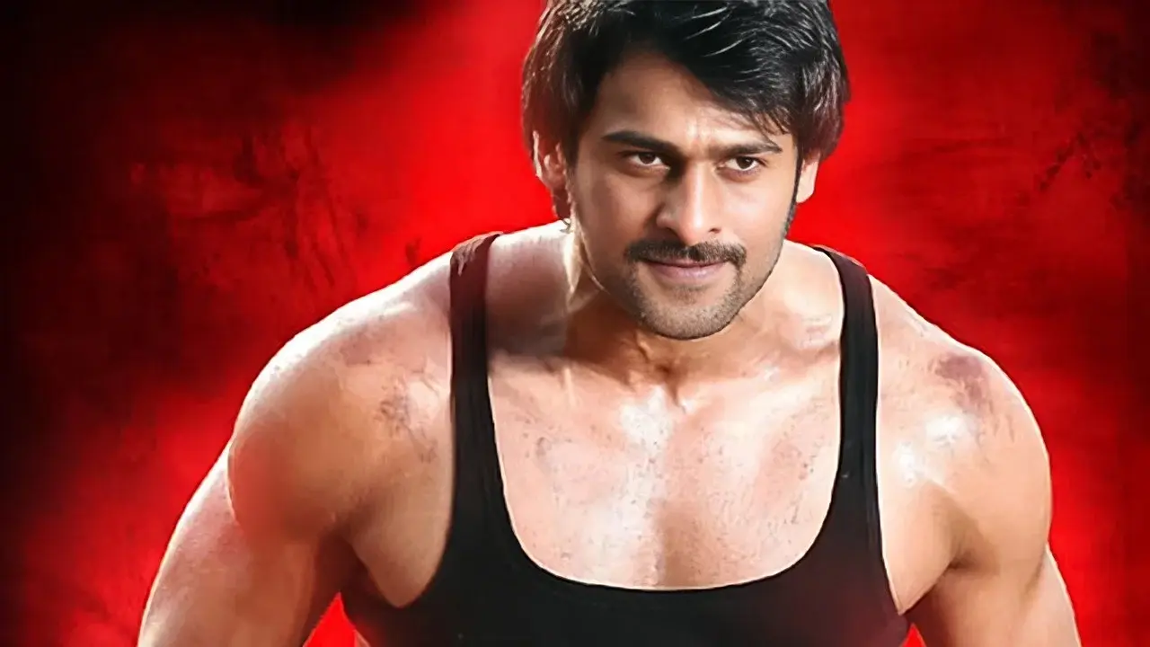 రెబెల్ fondo