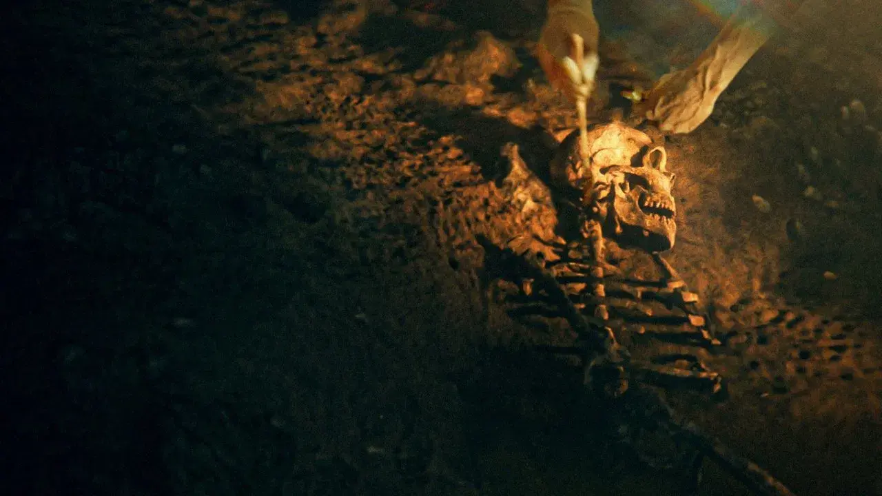 Secretos de los neandertales fondo