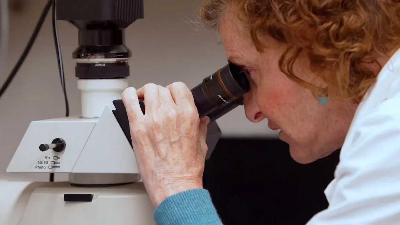 Todos somos plástico fondo