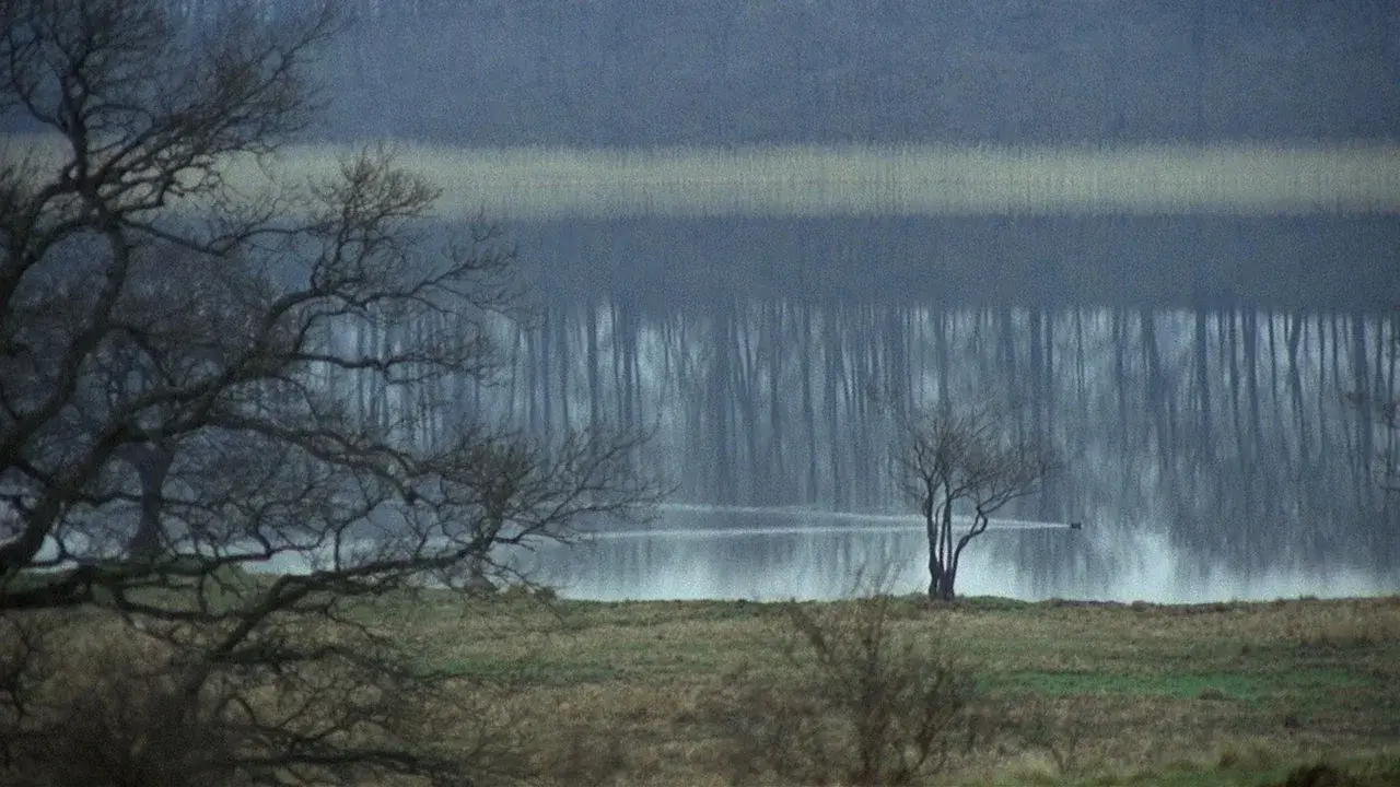 La nueva tierra fondo