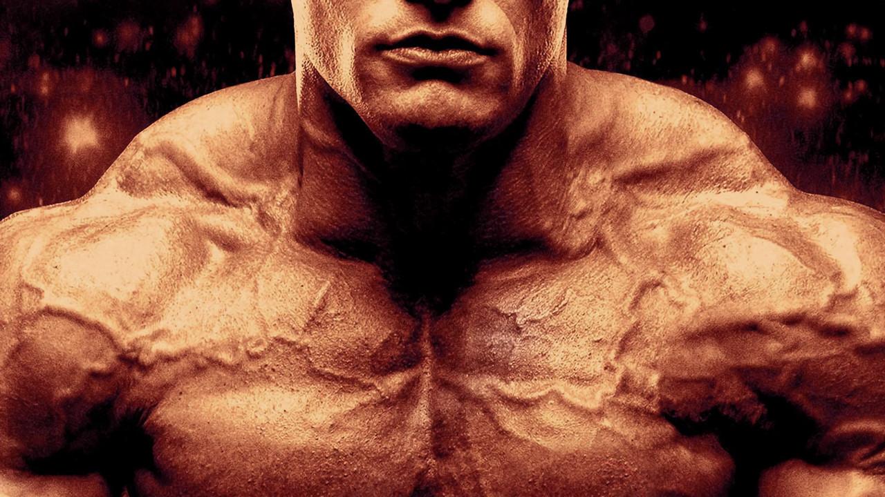 Generation Iron 3 fondo