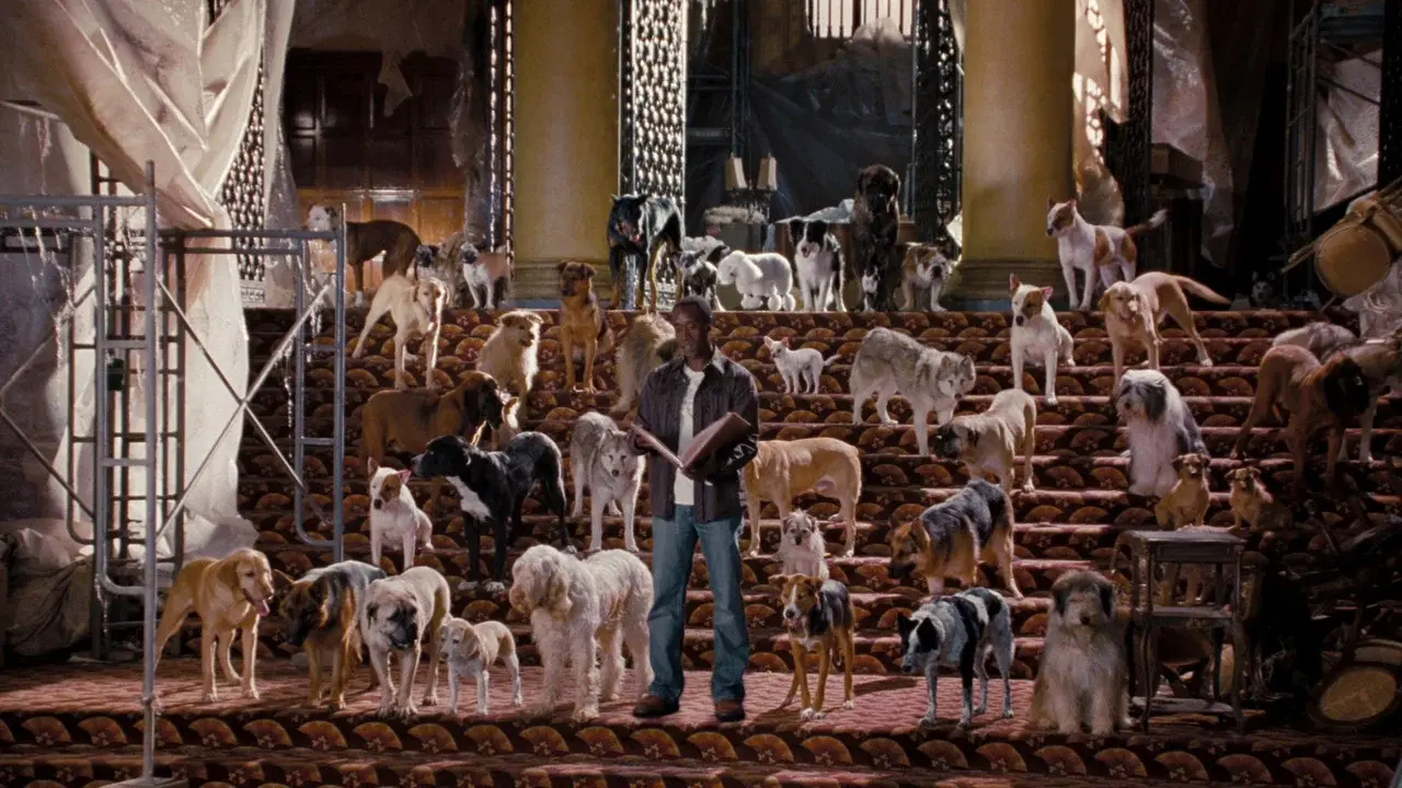 Hotel para perros fondo