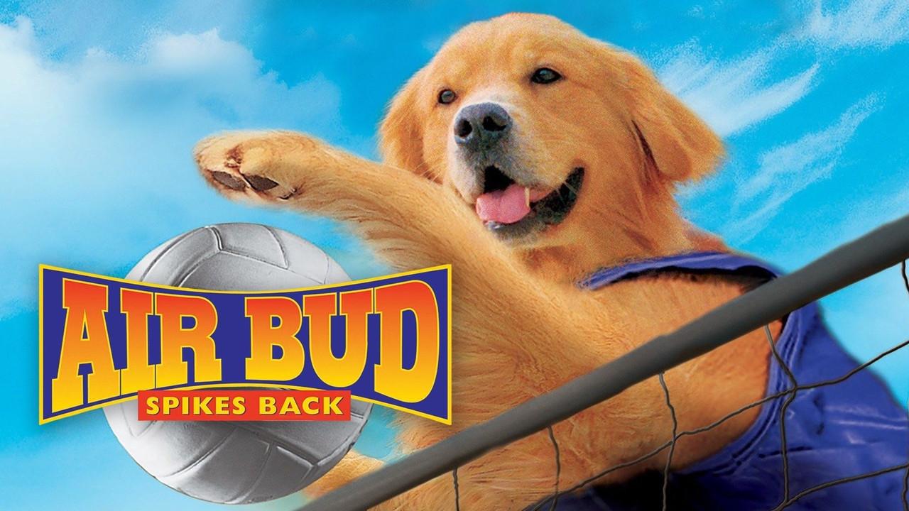 Air Bud 5: Golpea de Nuevo fondo