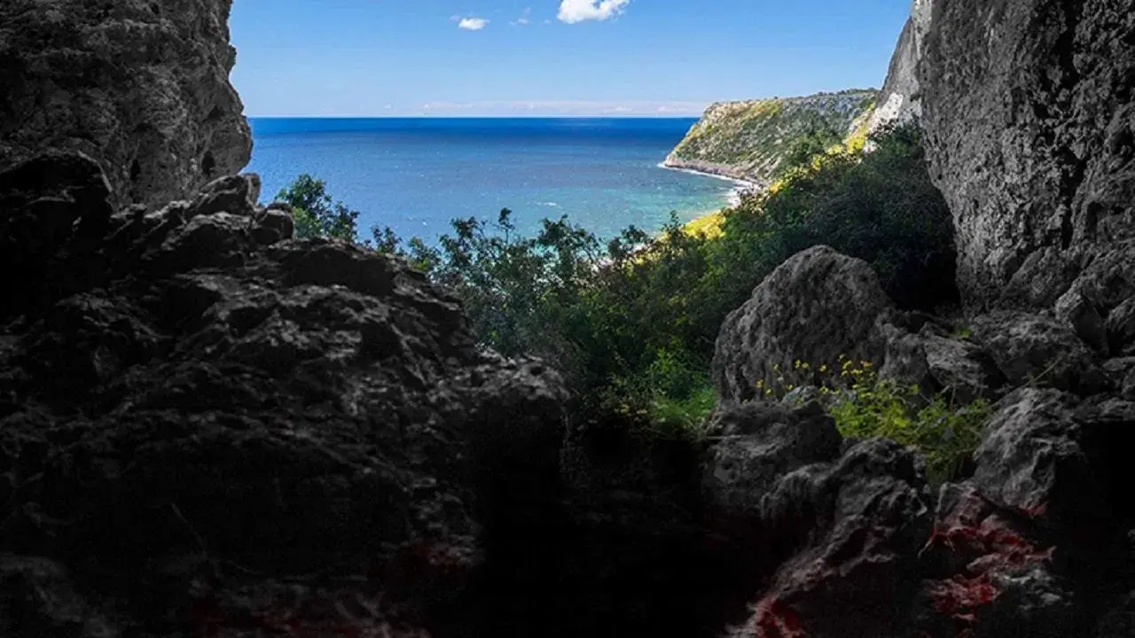 La cueva fondo