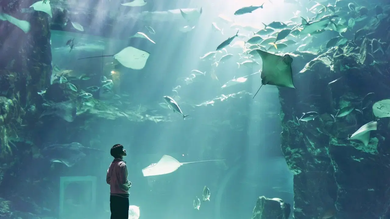 Mudanzas al cielo fondo