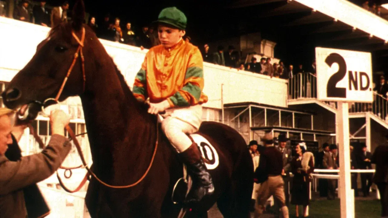 The Rainbow Jacket fondo