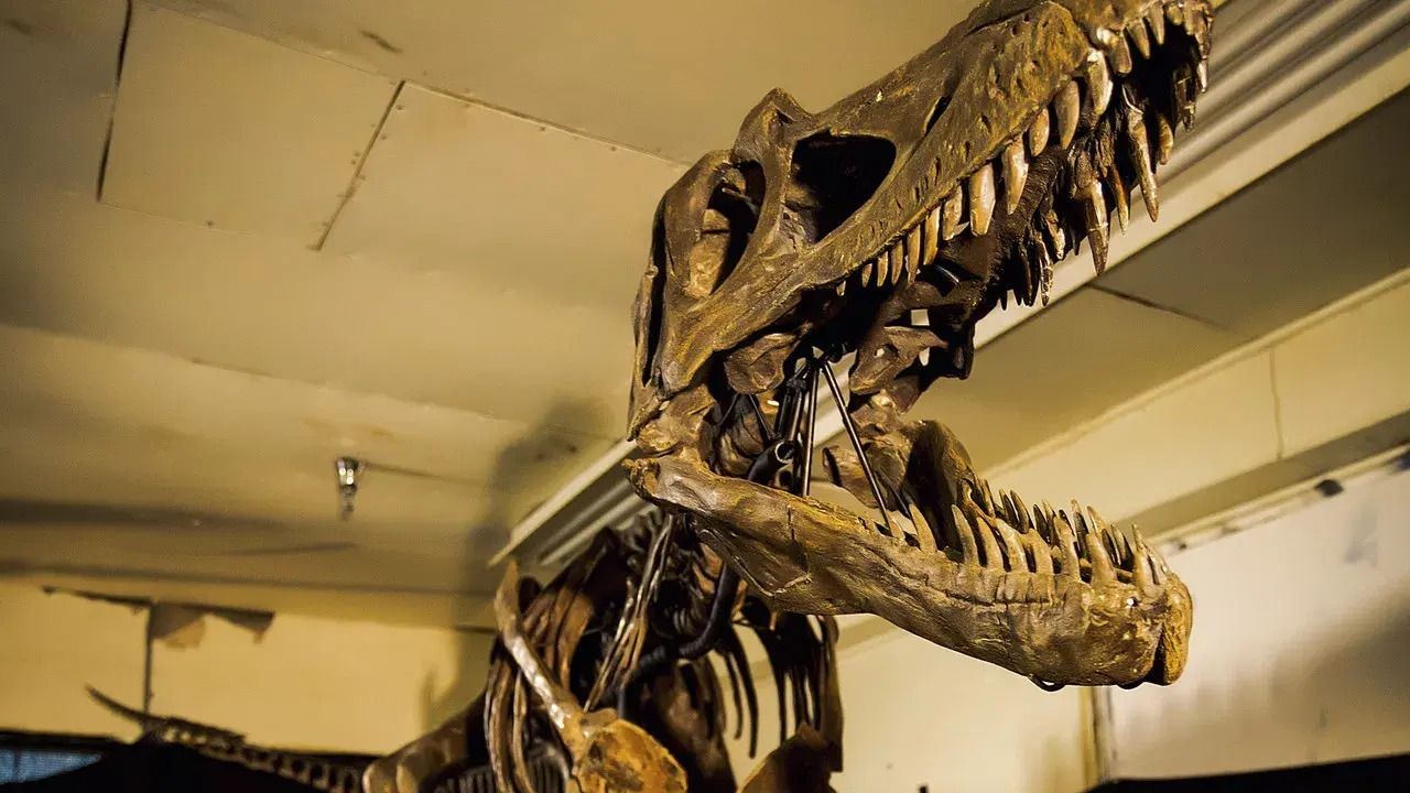 Lucha a muerte de dinosaurios fondo