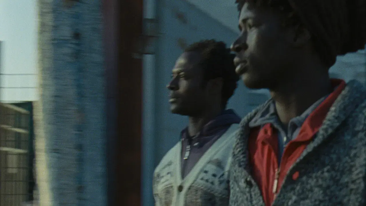 Mediterranea backdrop