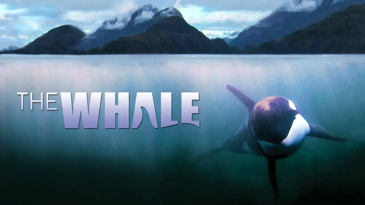 The Whale fondo