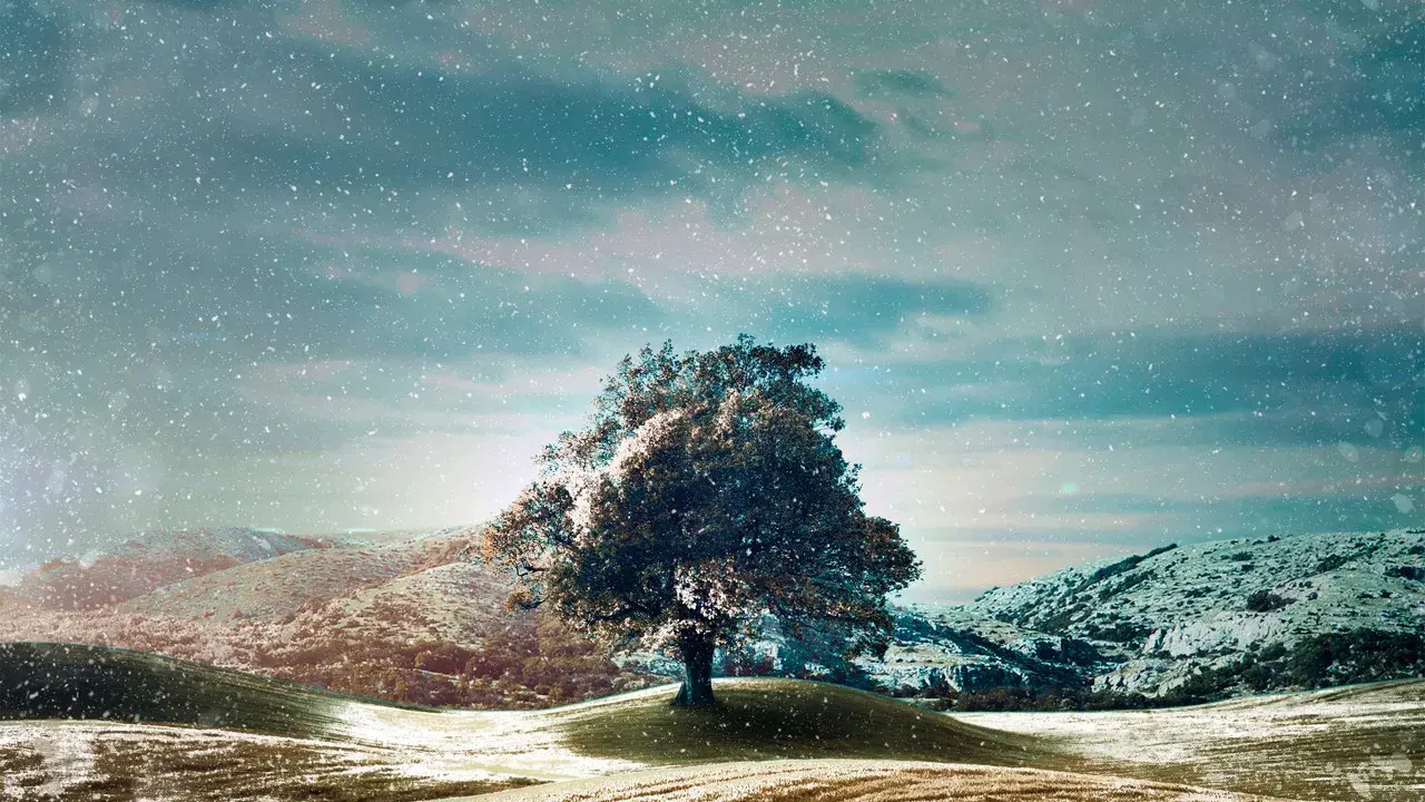 Who Do You Think You Are? fondo