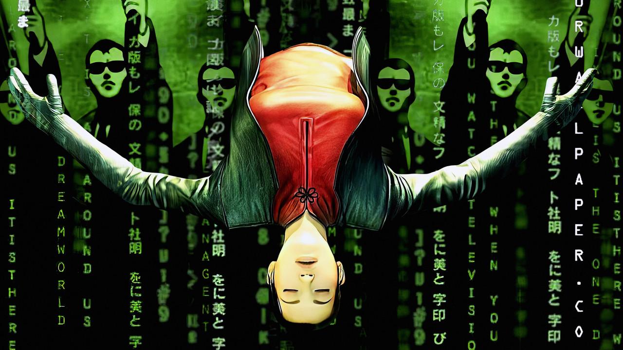 Animatrix fondo