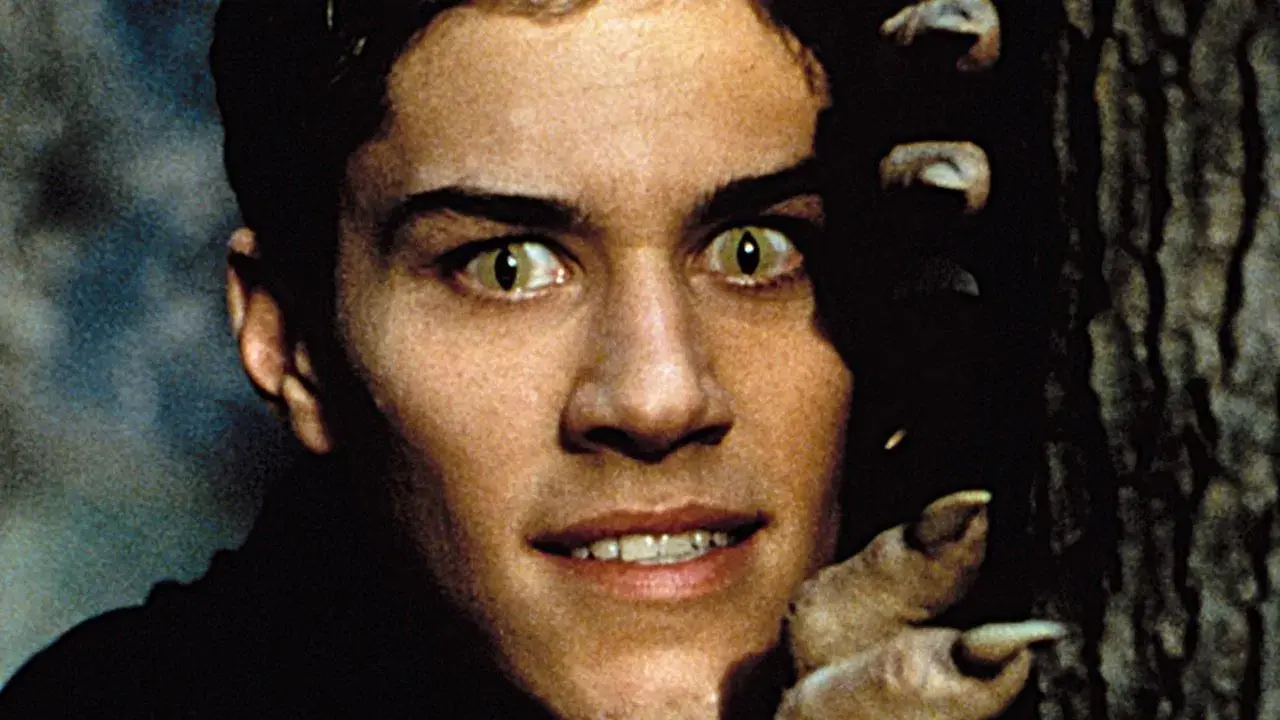 Big Wolf on Campus backdrop