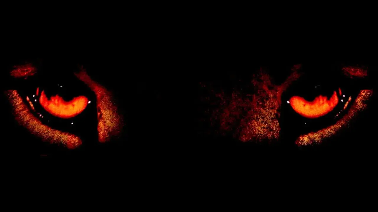 Los demonios de la noche fondo