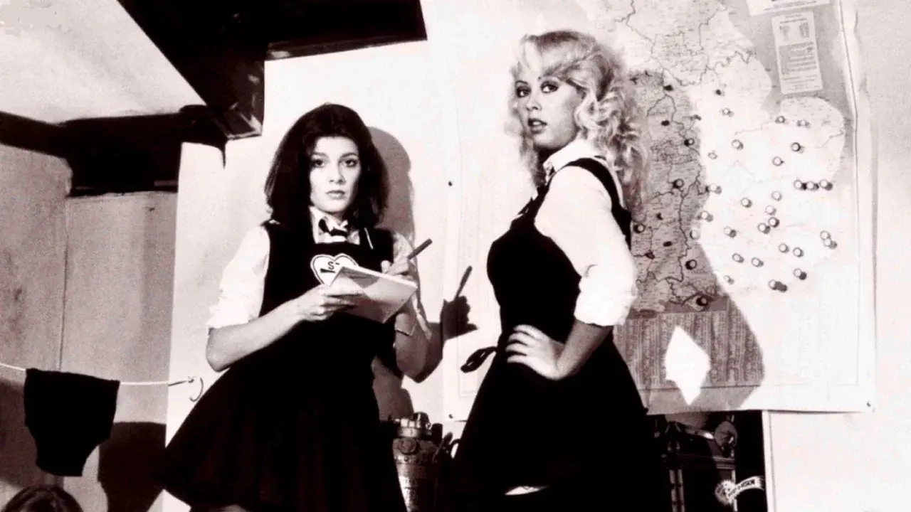 The Wildcats of St Trinian's fondo