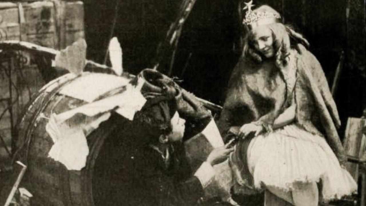 The Fairy and the Waif fondo