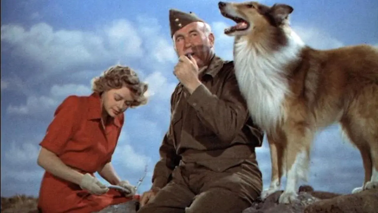 El cachorro de Lassie fondo