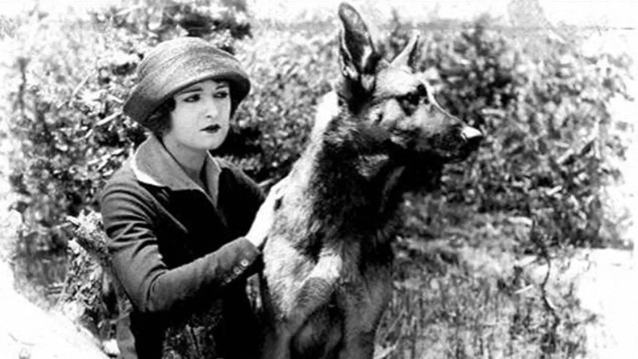 The Silent Call fondo