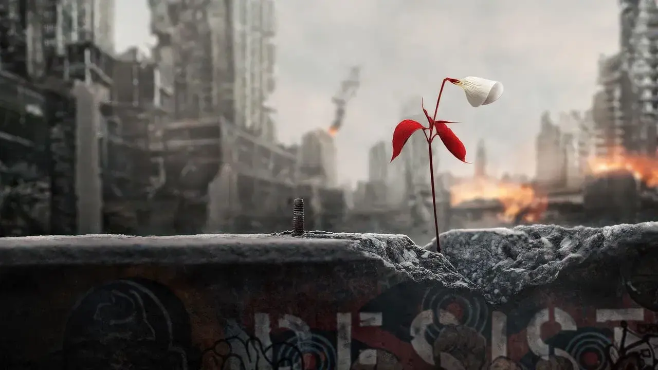 The Handmaid's Tale backdrop