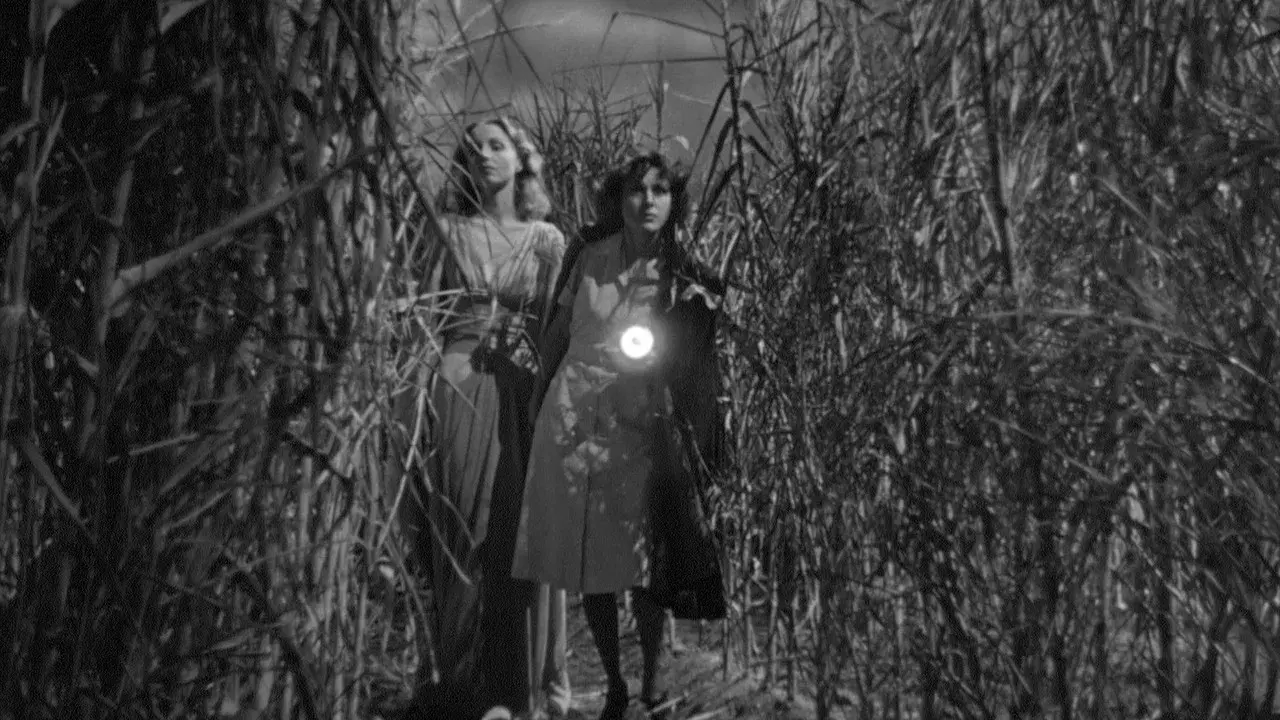 Yo anduve con un zombie fondo