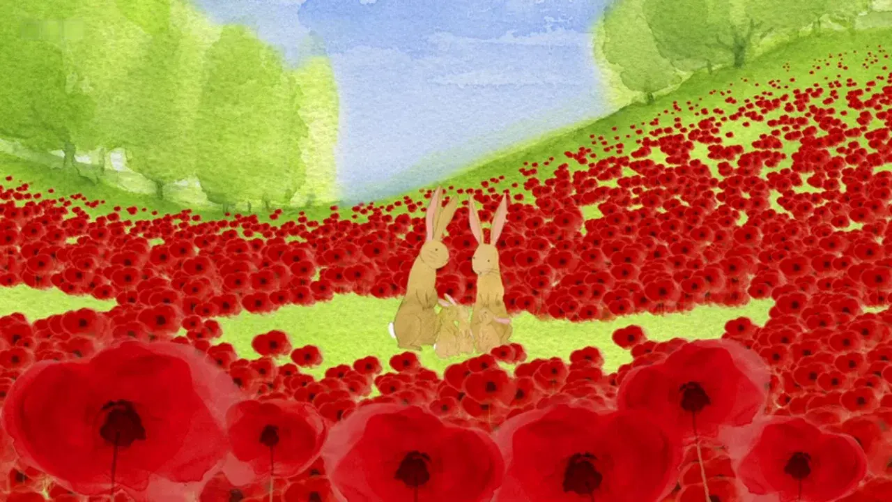 Poppies fondo