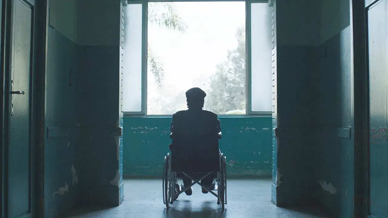 تراب الماس fondo