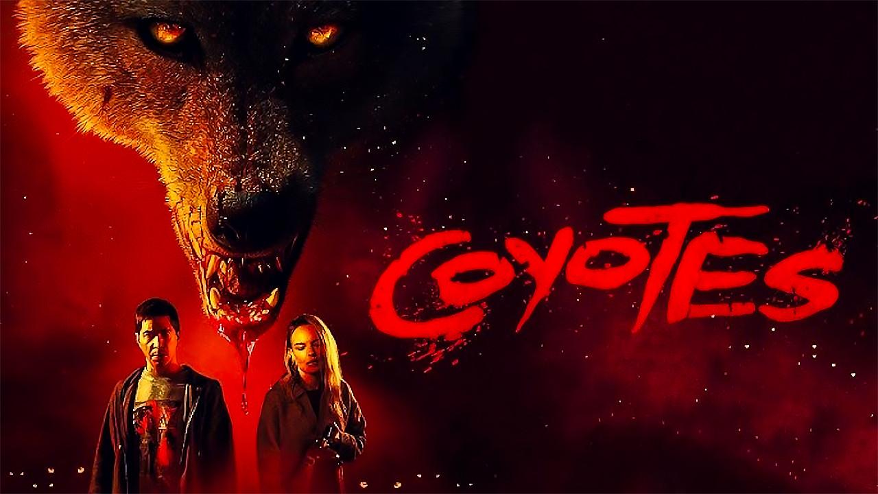 Coyotes fondo