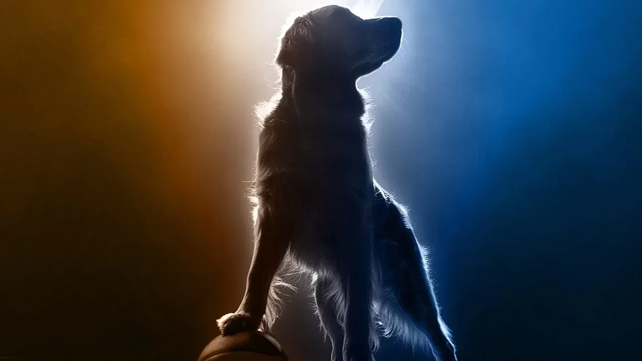 Air Bud Returns fondo