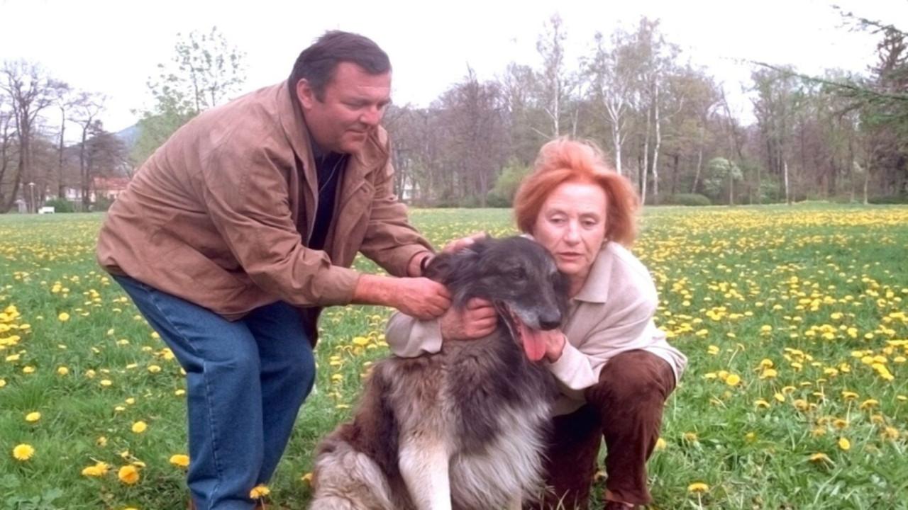 Hoffnung für Julia fondo