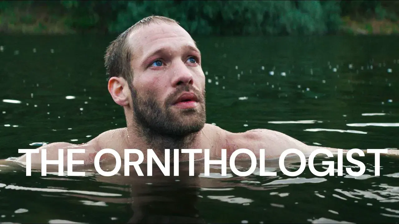 El ornitólogo fondo