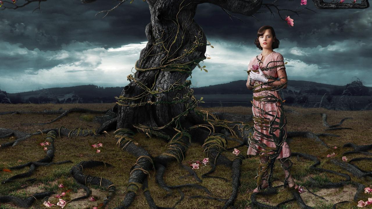 Telaraña de sueños fondo