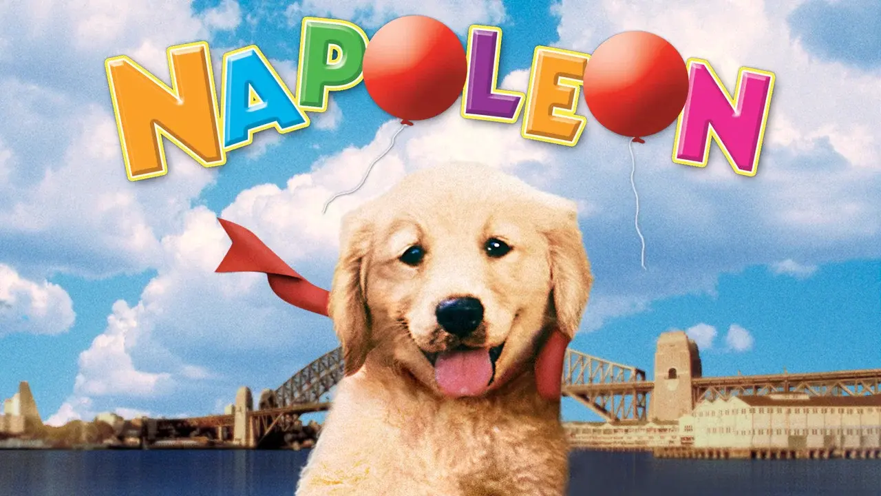 Napoleón, el perrito aventurero fondo