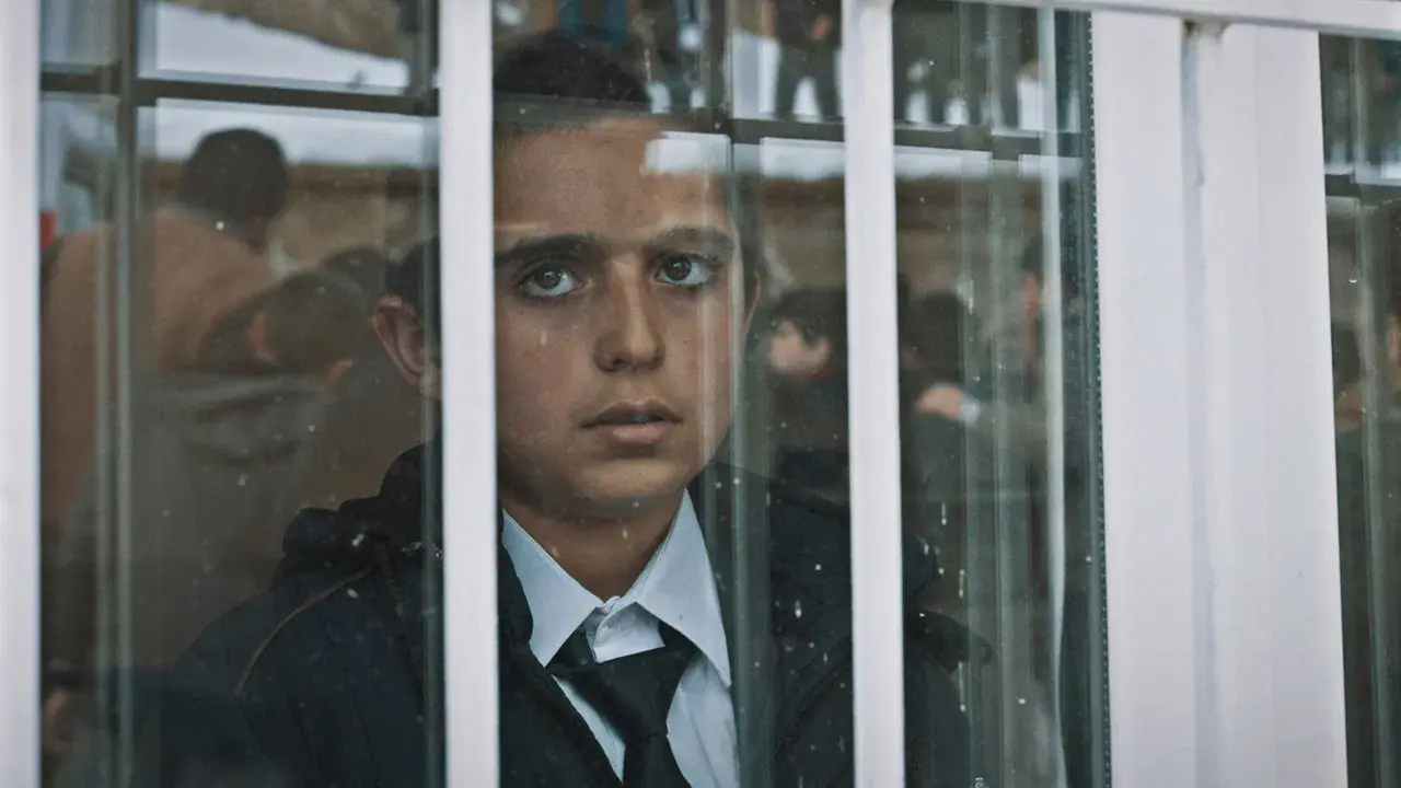 Mi mejor amigo fondo