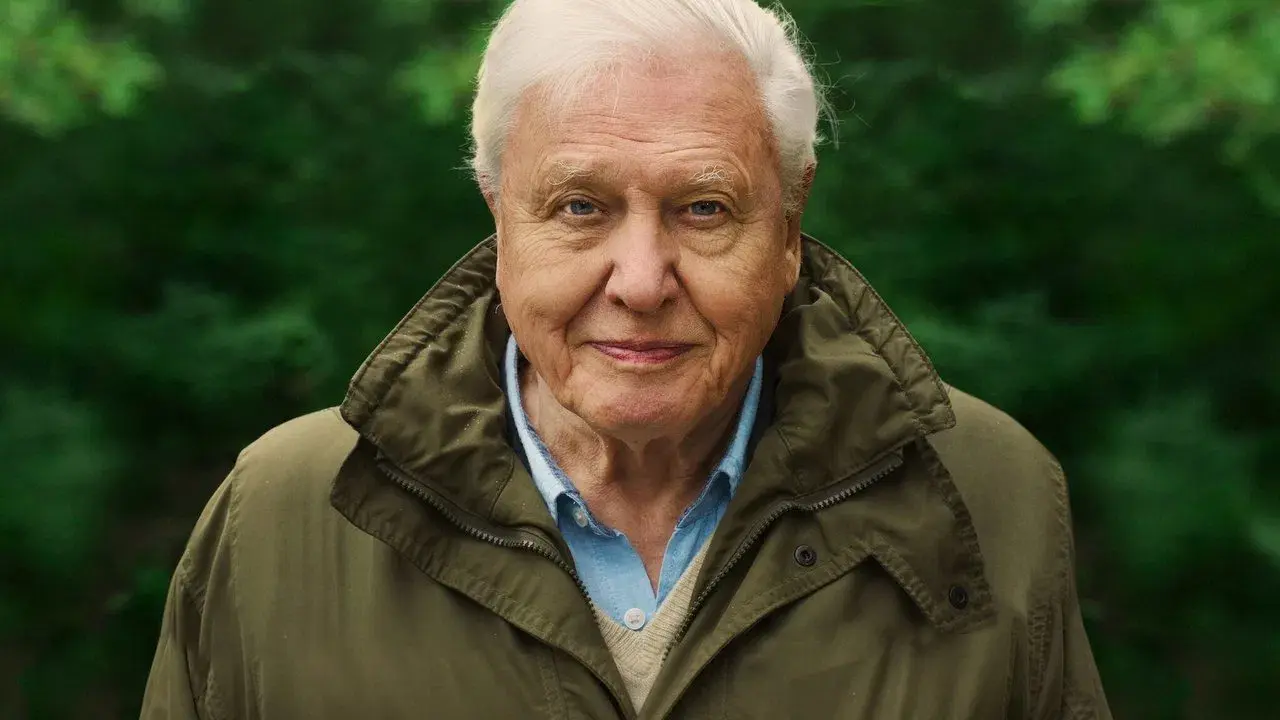 David Attenborough: Una vida en nuestro planeta fondo