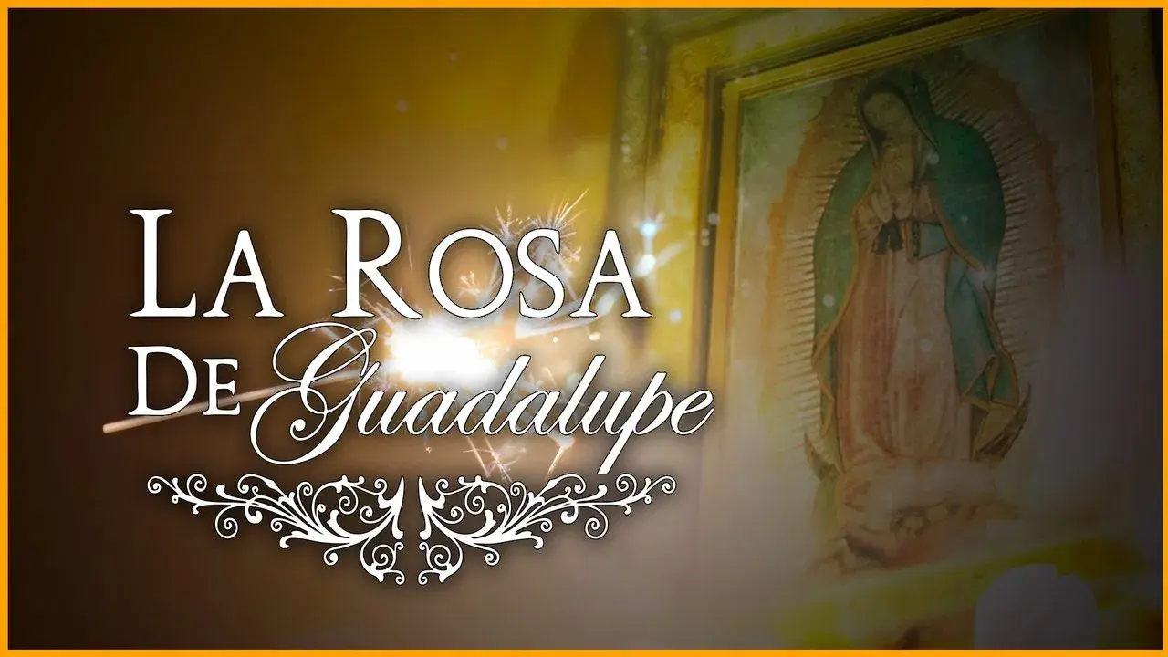 La rosa de Guadalupe backdrop