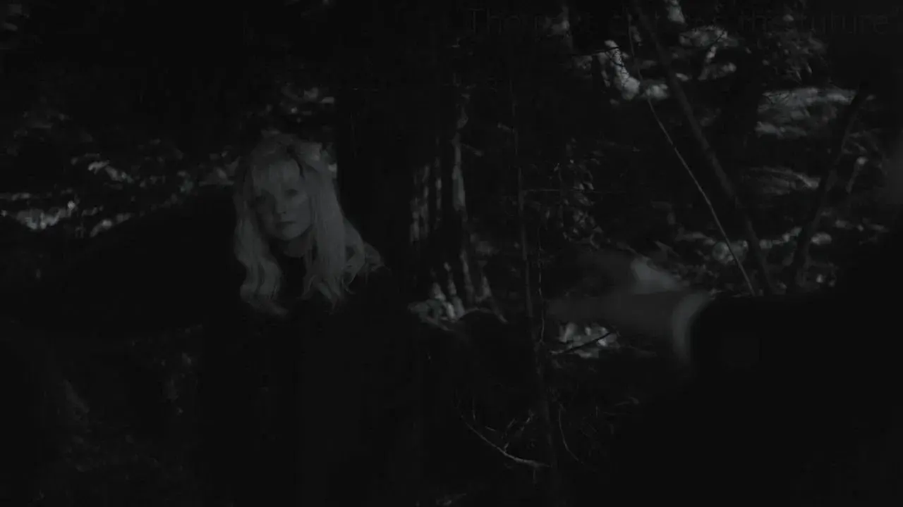 TV 동물농장 fondo