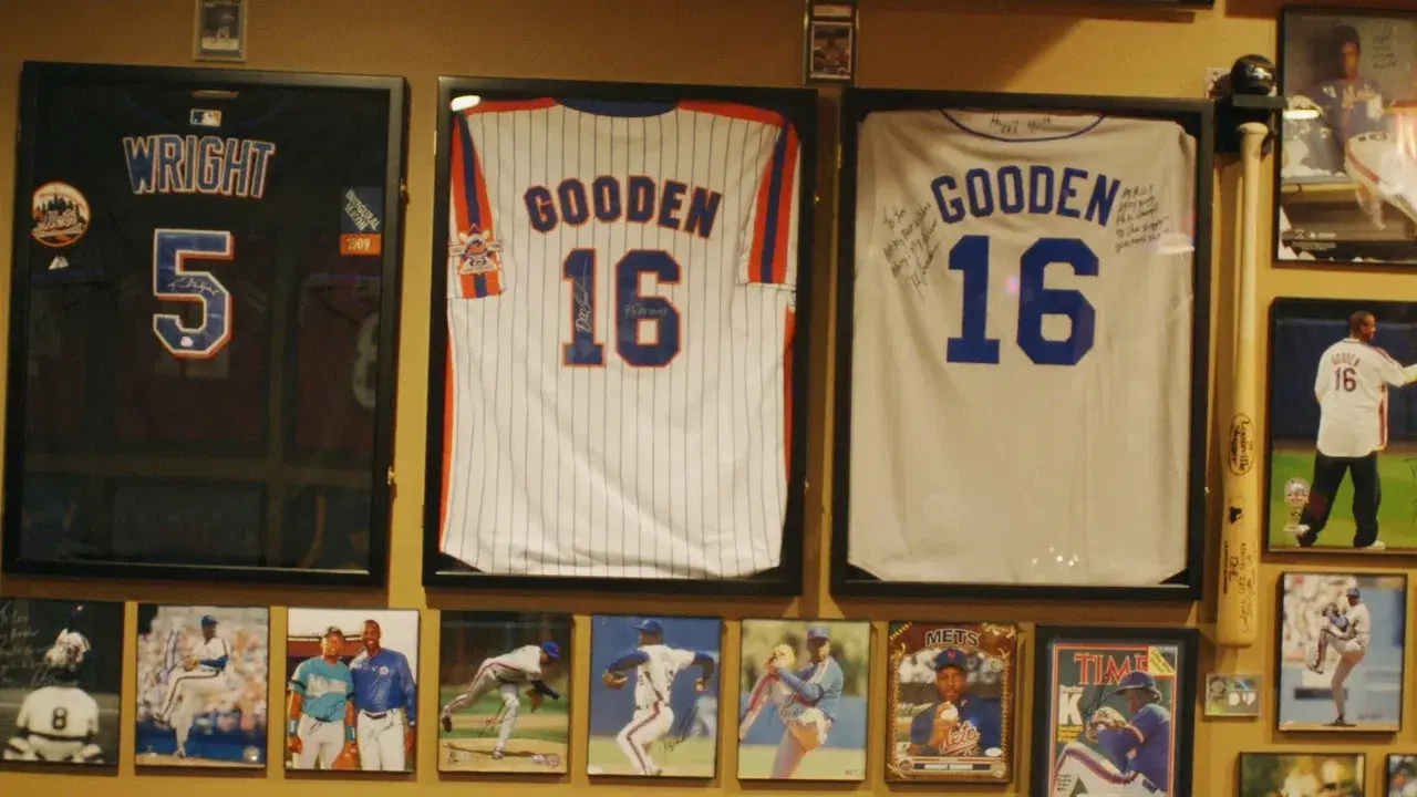 Hollywood Signs backdrop