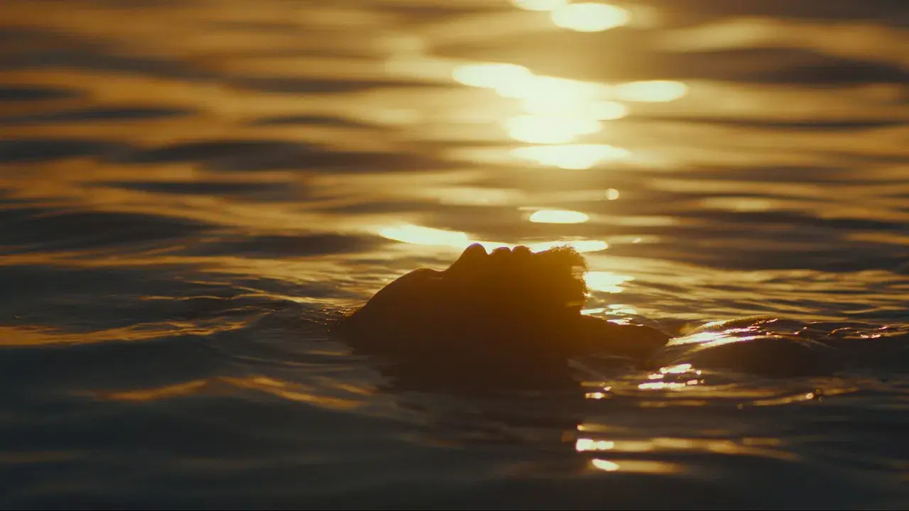 Estranho Caminho fondo