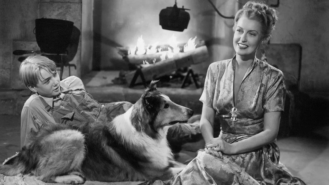 Nueva alborada fondo