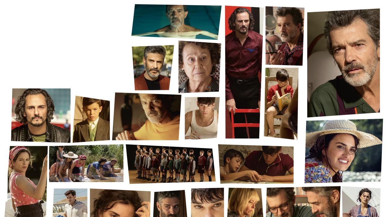 Pain and Glory backdrop