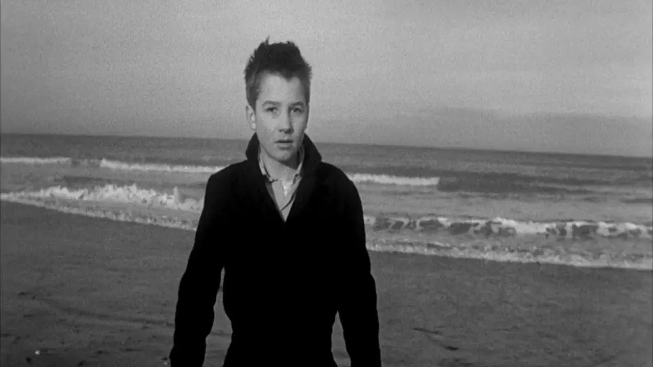 The 400 Blows backdrop