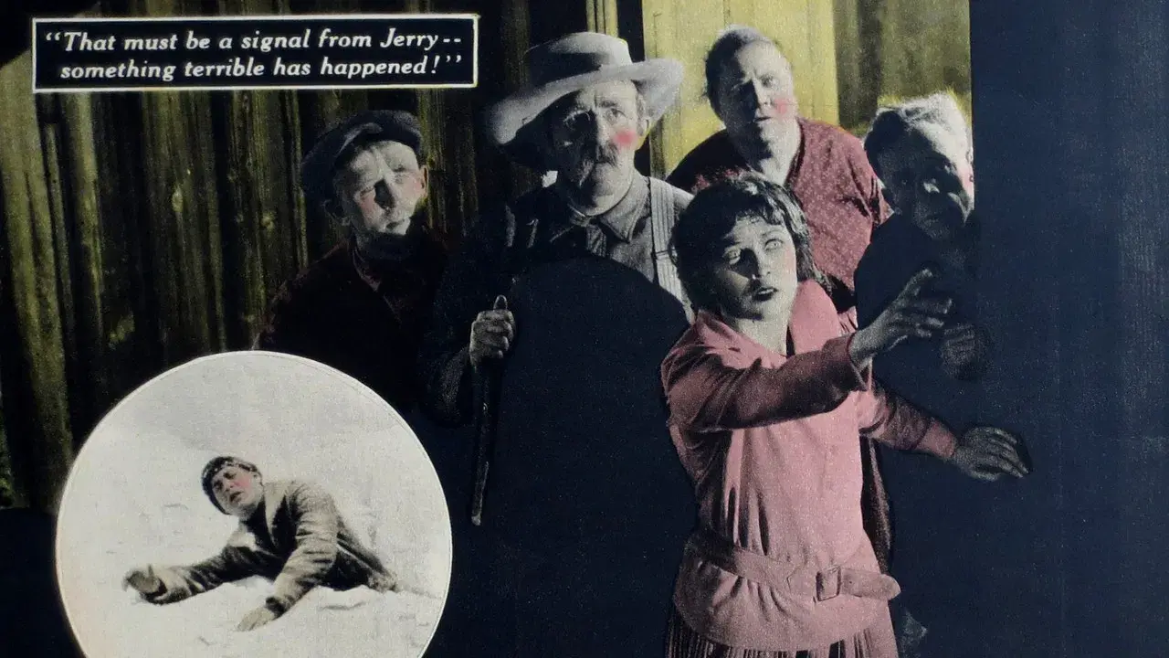 Peacock Feathers fondo