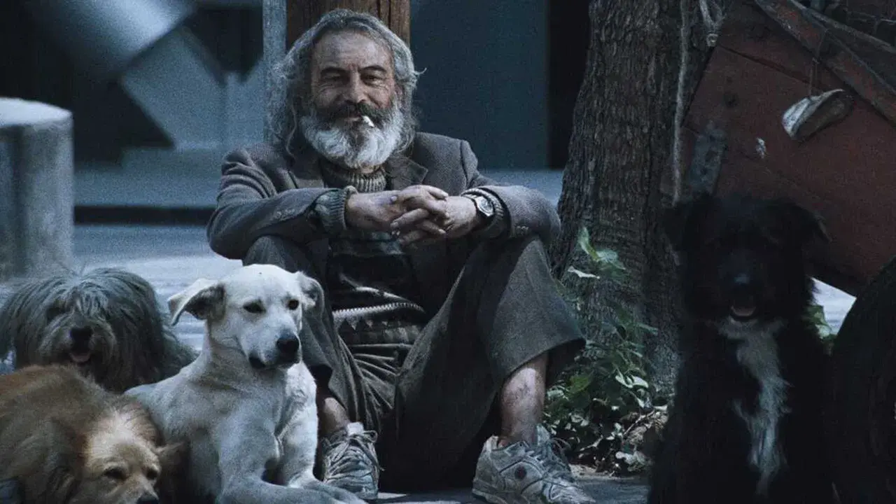 Amores Perros backdrop