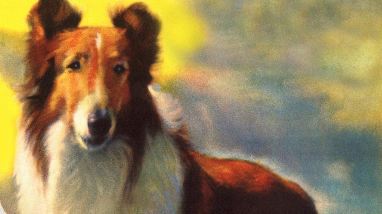 Lassie: Las colinas pintadas fondo