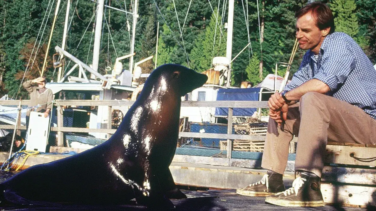 Andre, una foca en mi casa fondo