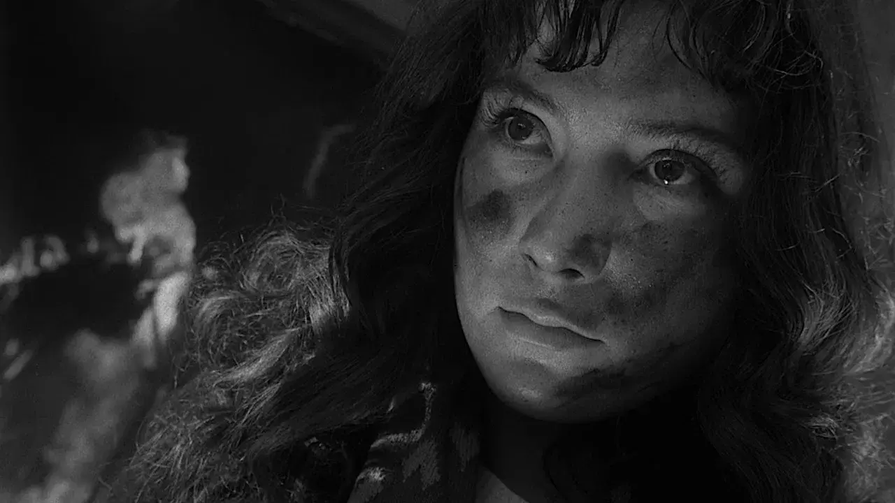 Cuando pasan las cigüeñas fondo