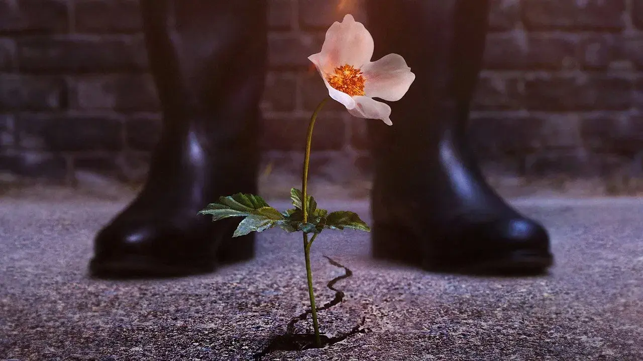 El hombre en el castillo fondo
