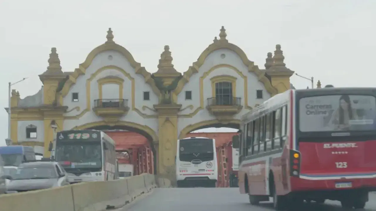 Terminal Young backdrop