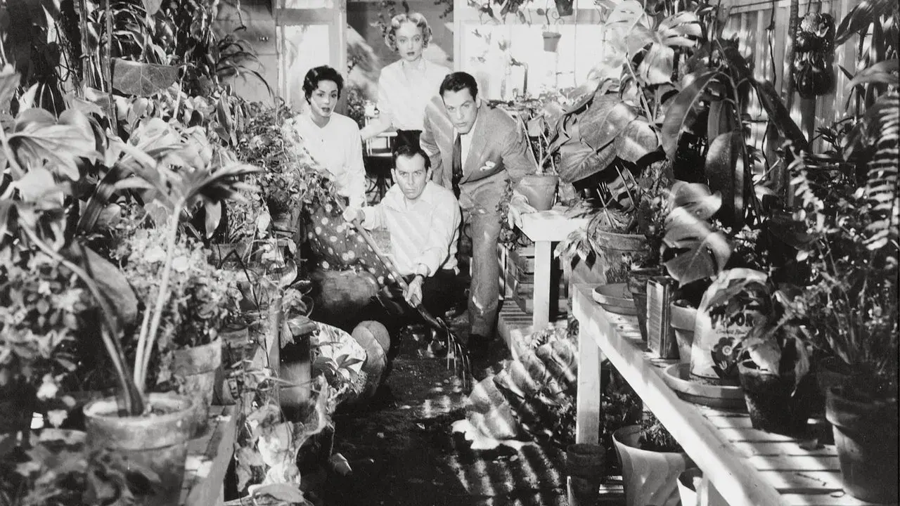 La invasión de los ladrones de cuerpos fondo