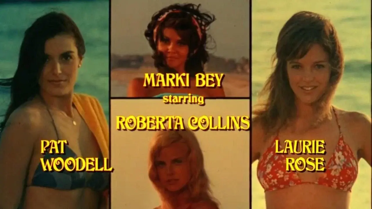 The Roommates fondo