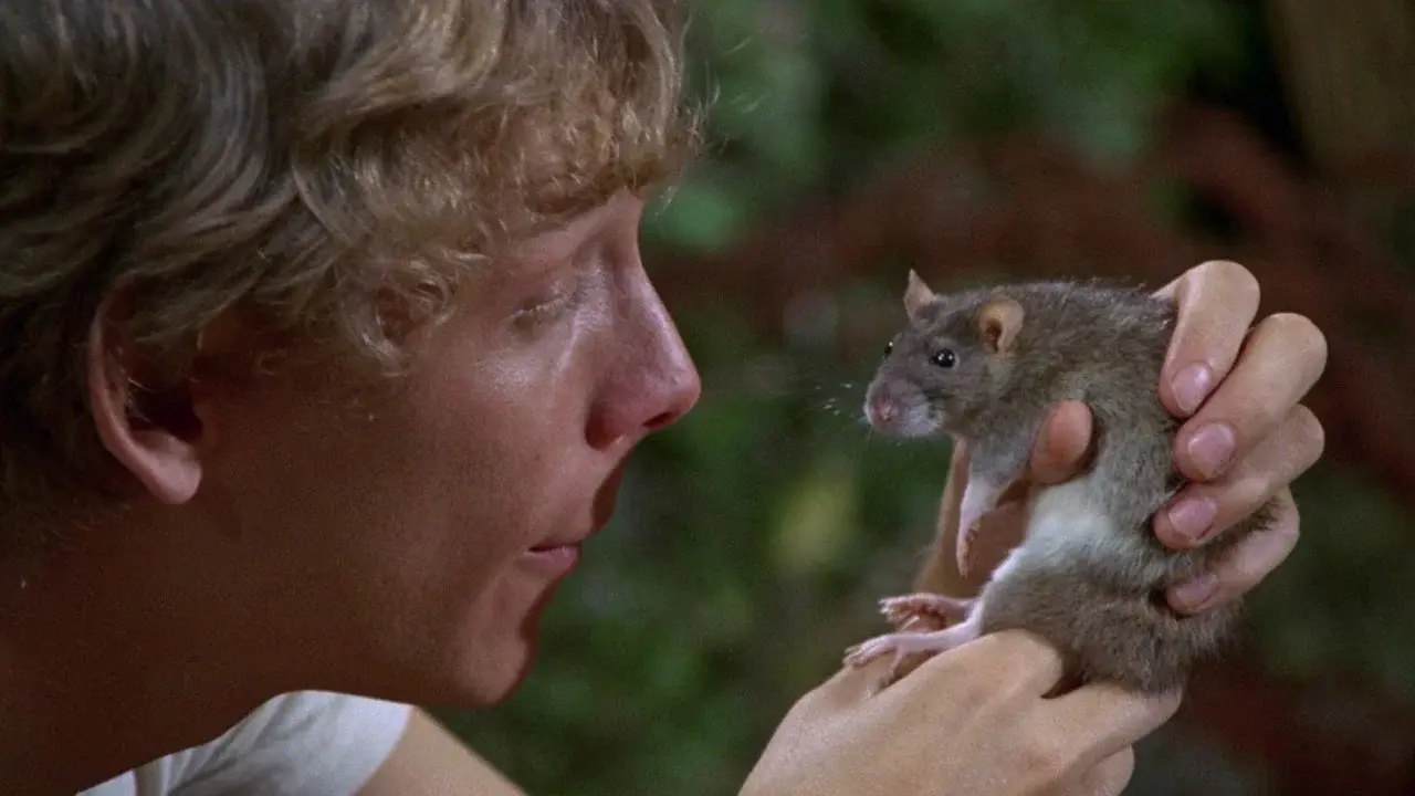 La revolución de las ratas fondo